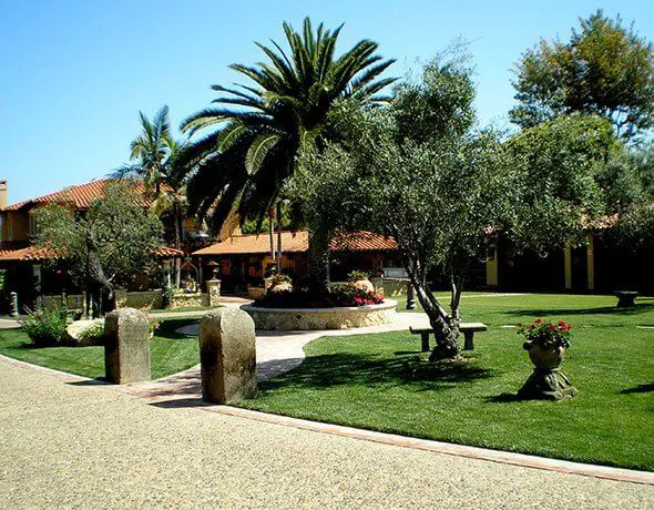Residential Courtyard Landscaping in Fallbrook