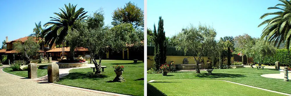Residential Courtyard Landscaping Company